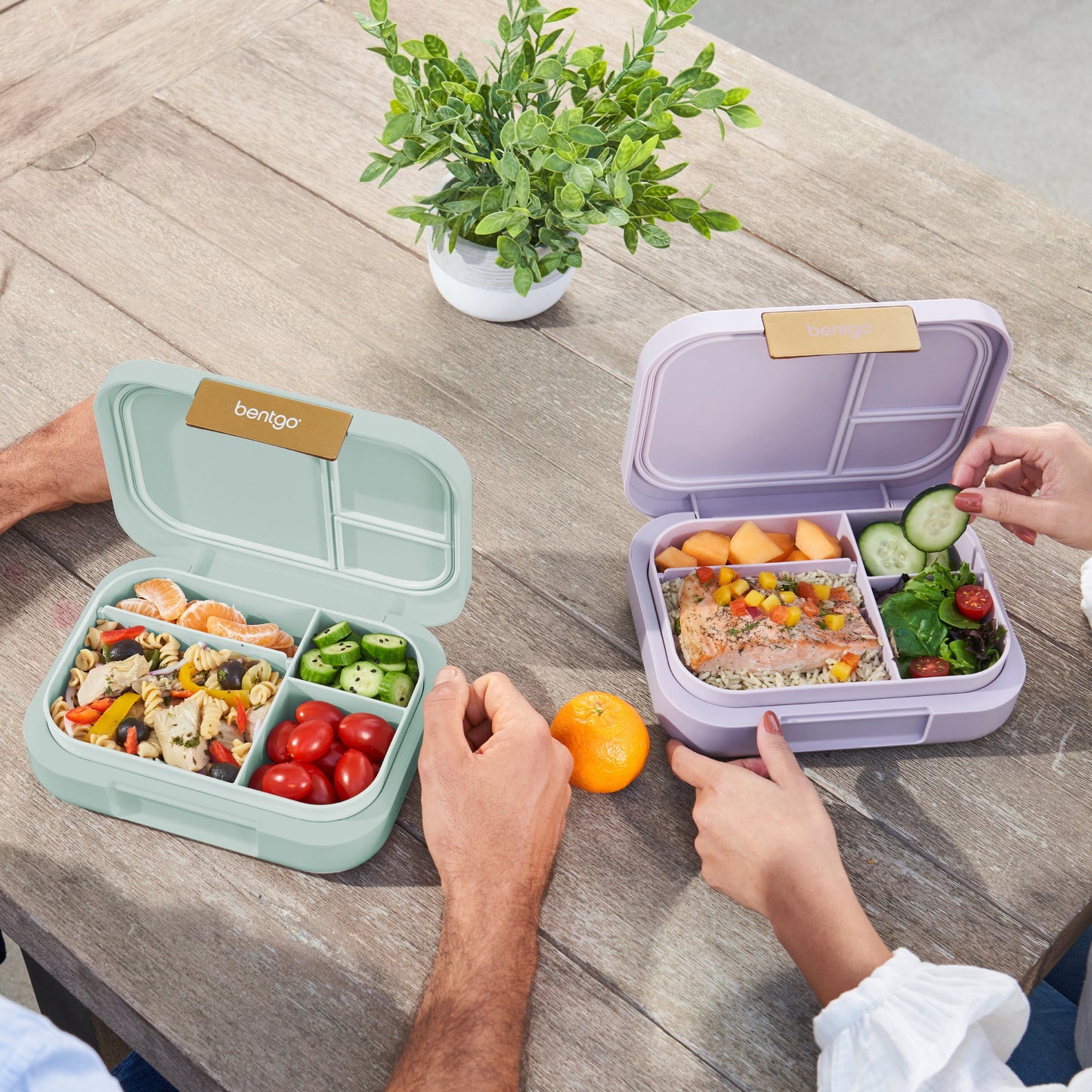 bentgo-modern-lunch-box-2-pack-g9 COSTCOBMCPRODUCTIMAGE_2.jpg